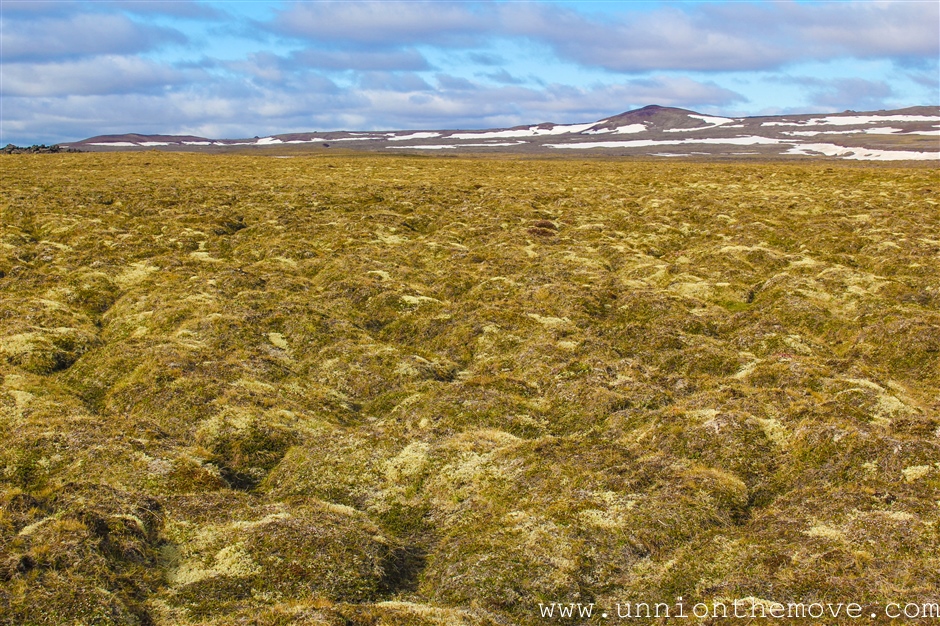 The rocks covered with moss near the Krafla lava fields