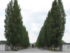 Pathway leading to the location of the prison camps